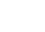 vsdvsv